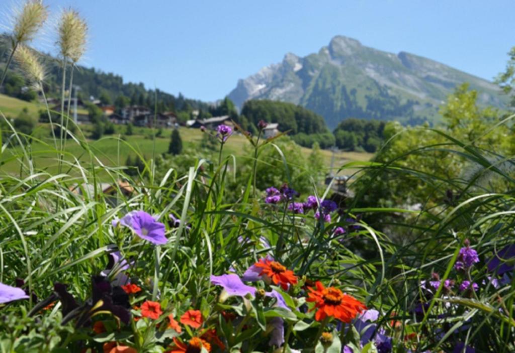 Hotel La Montagne La Clusaz Exterior foto